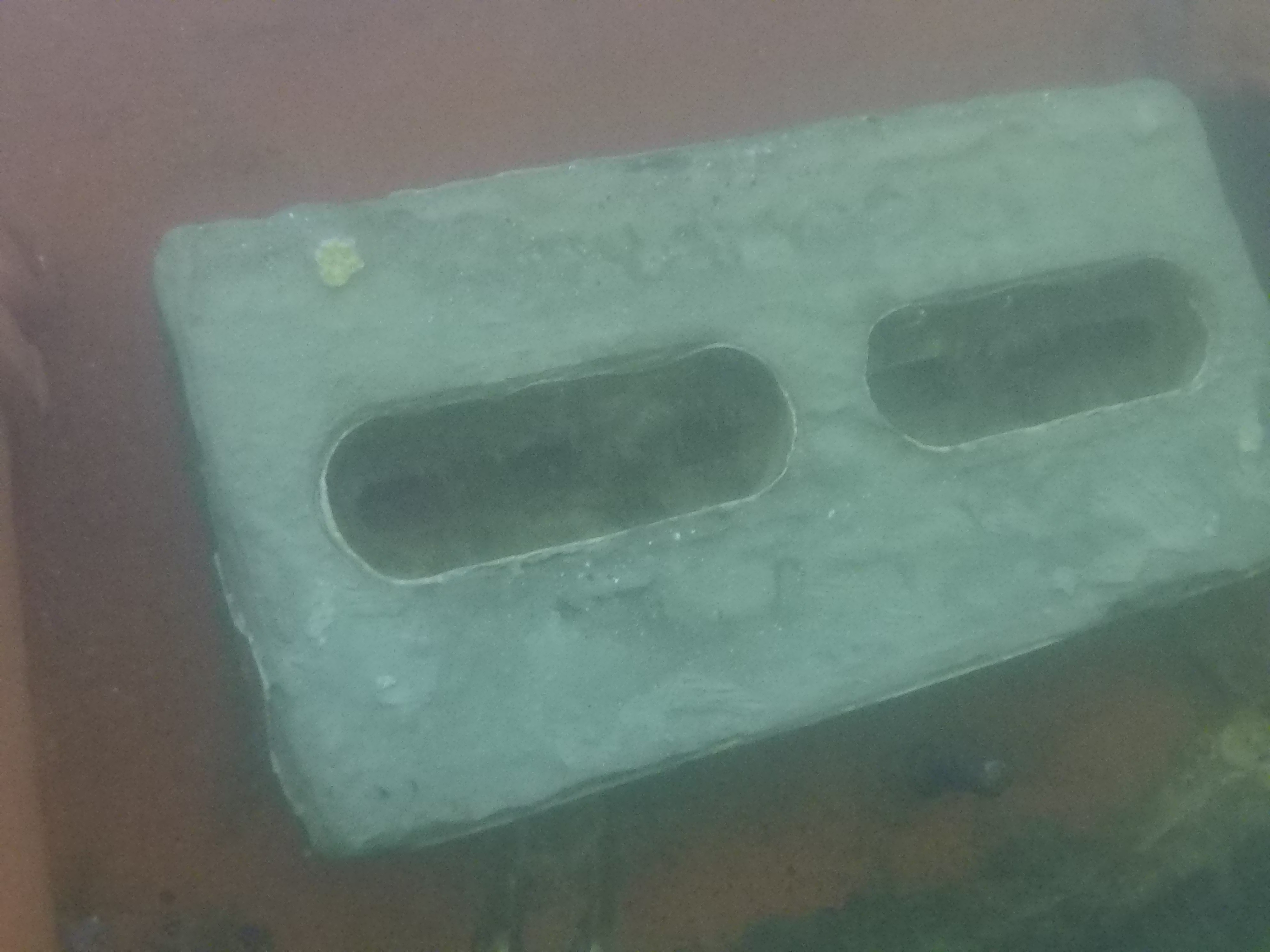 Central Coast Diving project photo