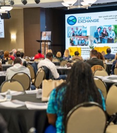 Marine Research Hub of South Florida, Inc. #14