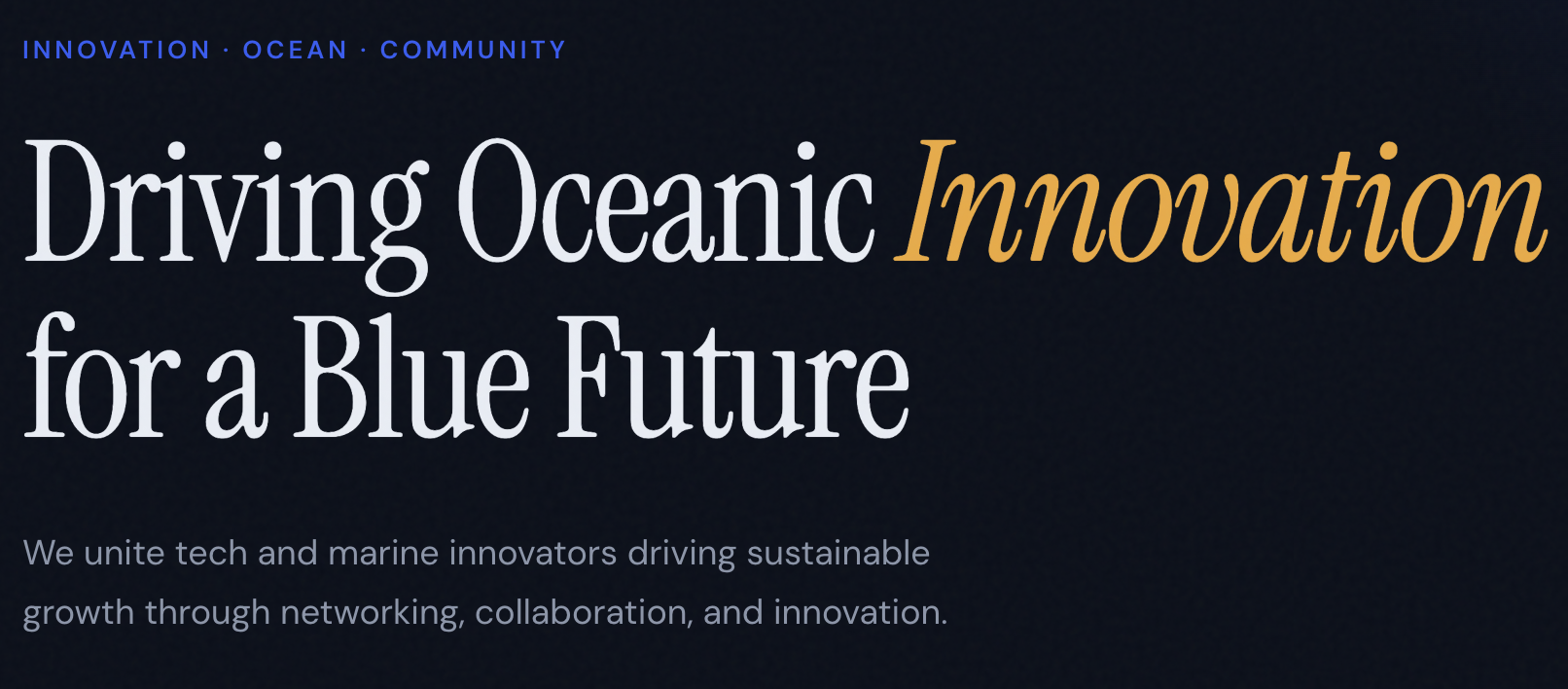 Founding Blue portfolio 4