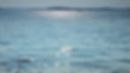 Blurred view of open blue water with a distant shoreline and hazy sky.