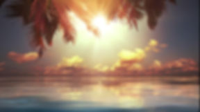 Blurred tropical sunset over calm water with palm fronds in the foreground.