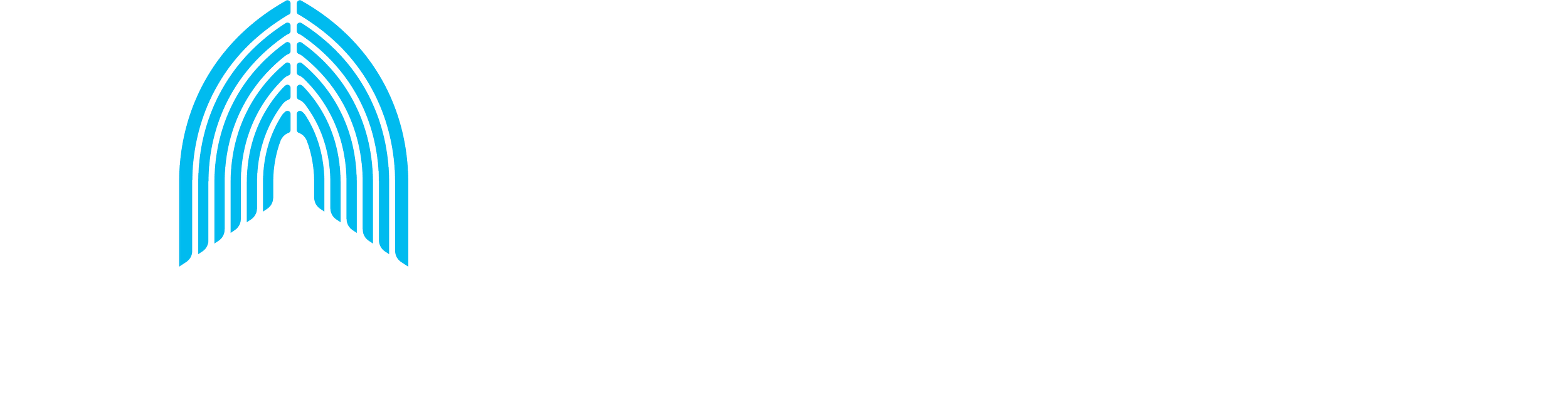 Nauteva Wilmington logo