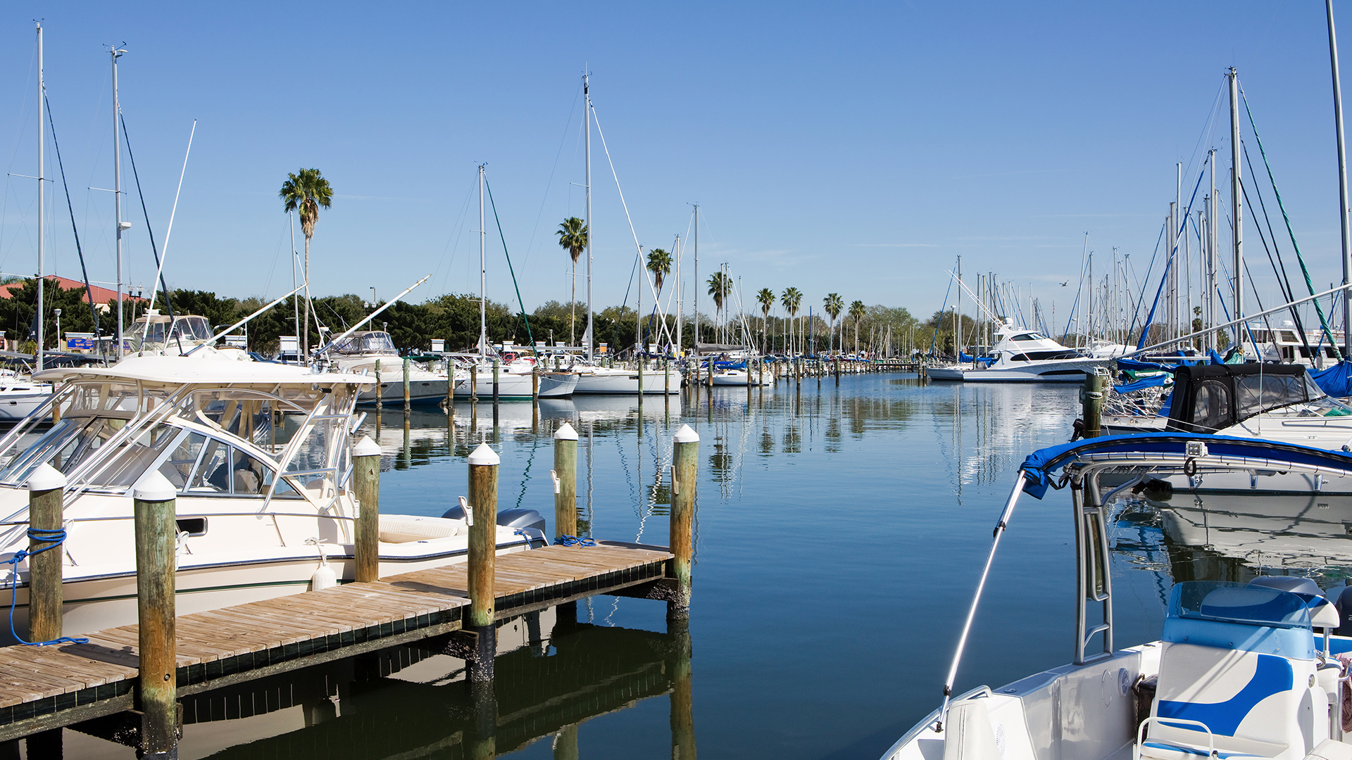 Sailboats and motor boats moored at wooden docks in a marina lined with palm trees, location and business name not identifiable.