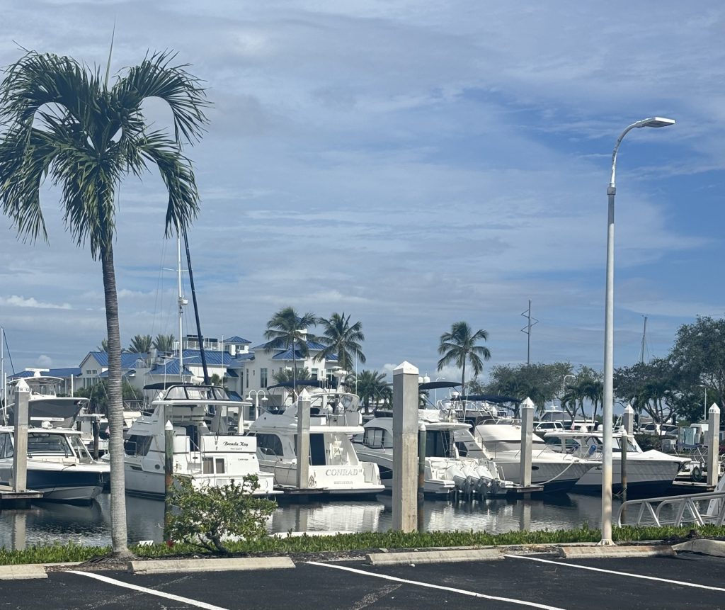Motor yachts docked along the slips of a marina with palm trees and waterfront homes behind them.