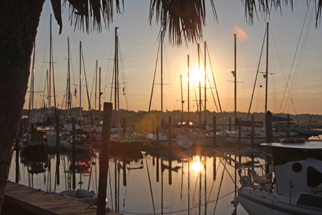 Sailboats moored along the docks at sunrise with the sun reflecting off calm water, viewed through palm fronds.