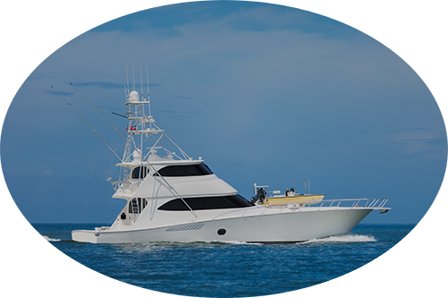 Thomas Marine Systems portfolio 4