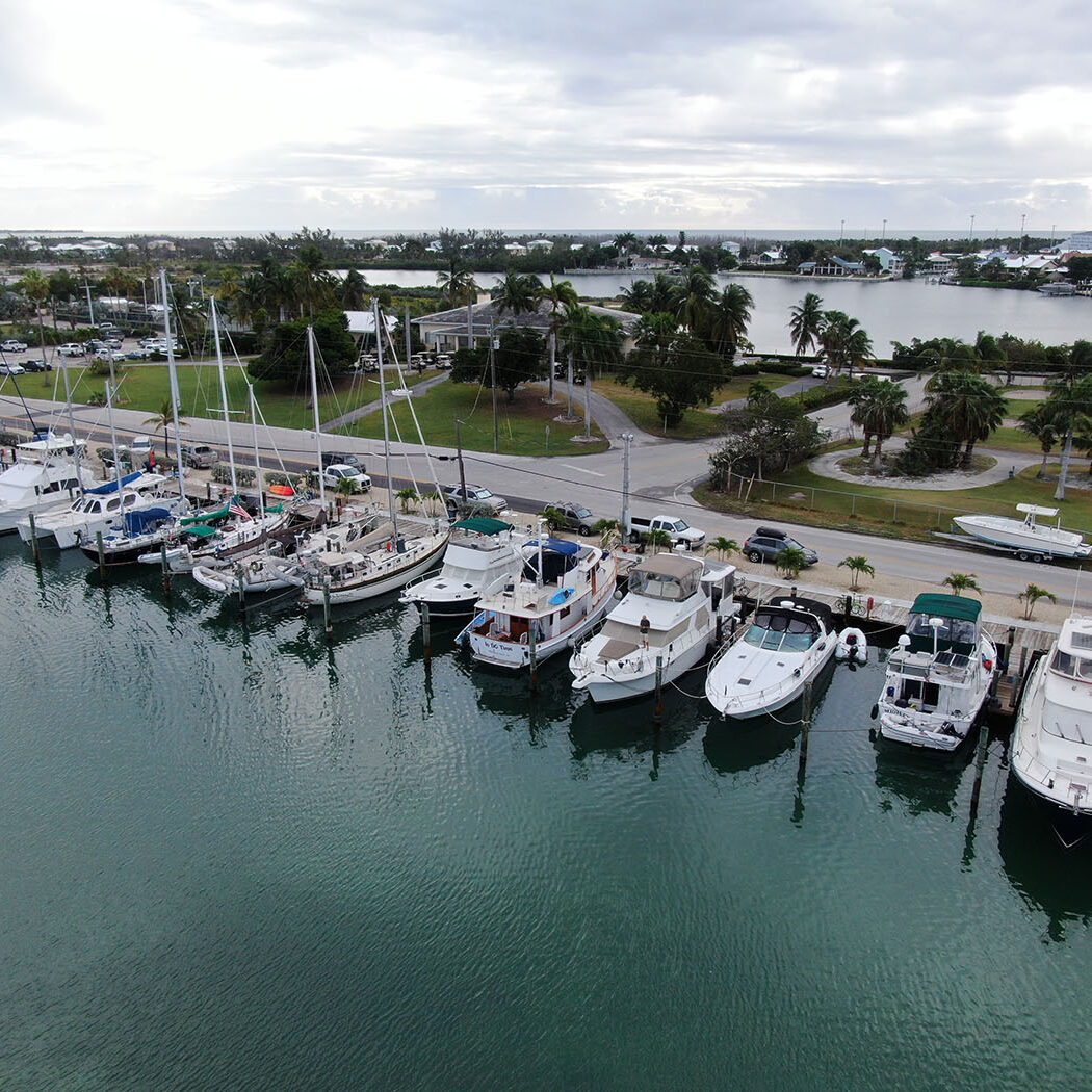 Aerial view of sailboats and motor yachts docked at a marina with palm-lined shoreline.