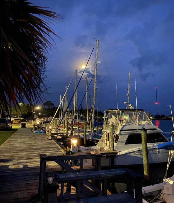 Sailboats and a motor yacht moored at a wooden-dock marina at dusk under a rising moon, with a palm tree in the foreground.