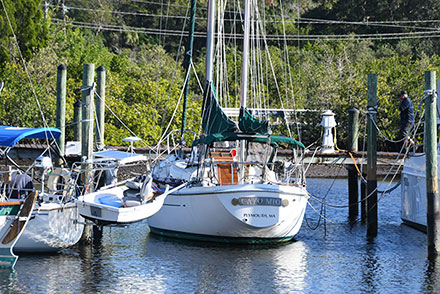 Sailboats moored along docks in a quiet marina with wooded shoreline behind them.