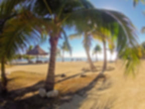 Palm trees and a thatched palapa shade structure on a sandy beach with calm water beyond.