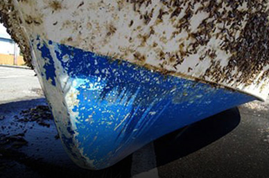 Heavily fouled boat hull with barnacles and chipped blue bottom paint, shown ashore on a paved surface.