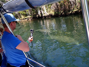 Guest filming manatees in the clear water from a tour boat on a spring-fed river.