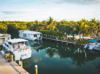 Houseboats and a white cabin boat named Lazy Day moored along a canal lined with palm trees and docks.