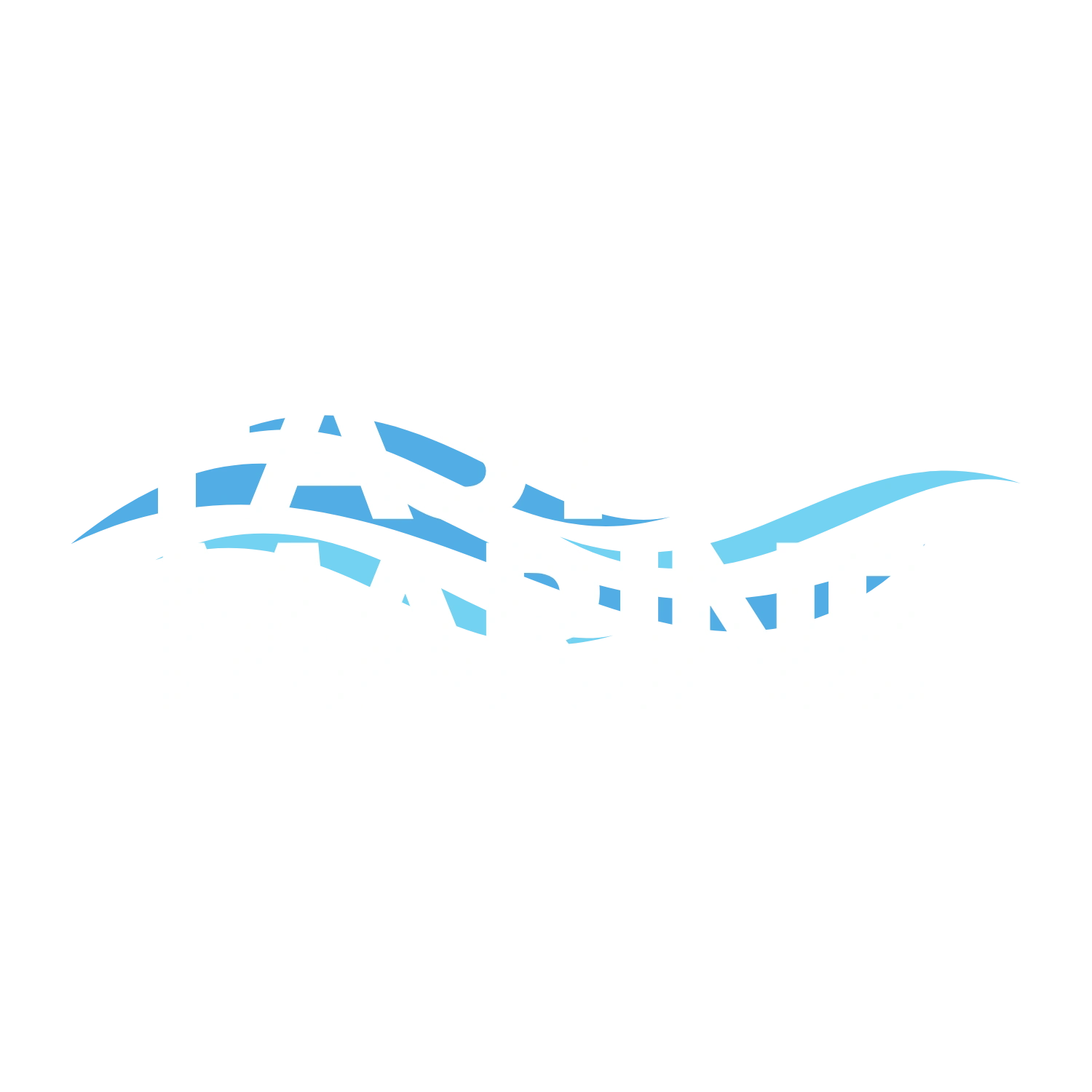 Fast Marine logo