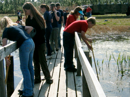 Students on a wooden boardwalk dipping nets into a marsh pond during a field outing.