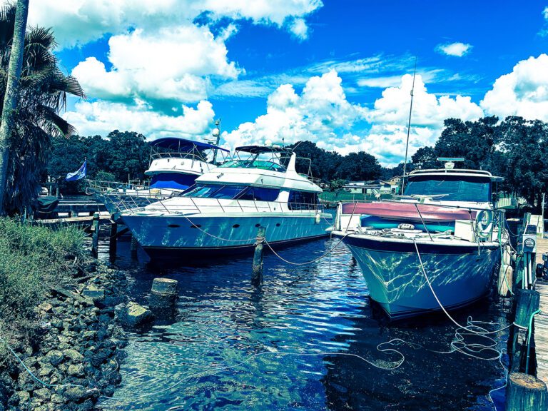 Motor yachts and a cabin cruiser moored at a waterfront dock lined with a rocky seawall and palm trees.