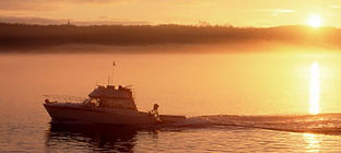A motorboat cruising across calm water through morning mist with the low sun glowing behind it.