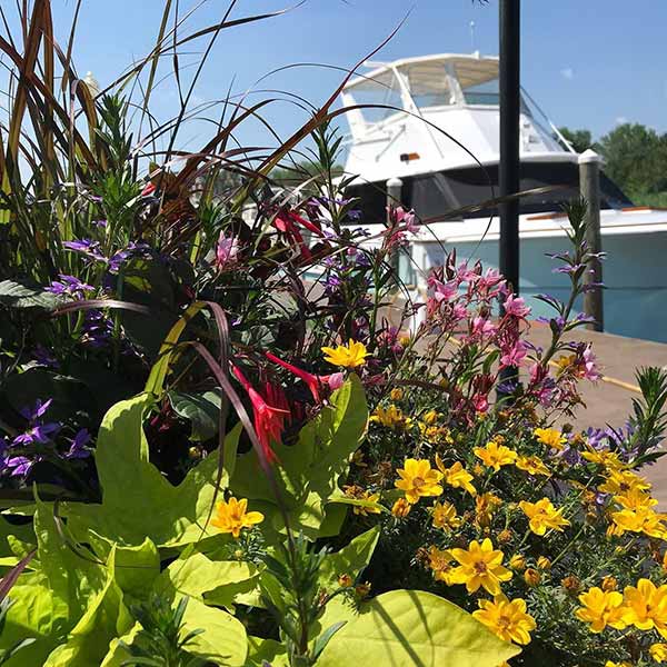 Winter Harbor Marina project photo