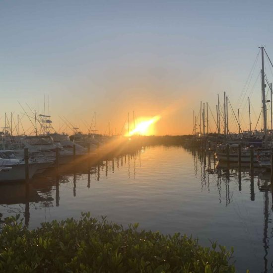 Sunrise over a marina with moored sportfishing boats and sailboat masts at an unidentified marina.