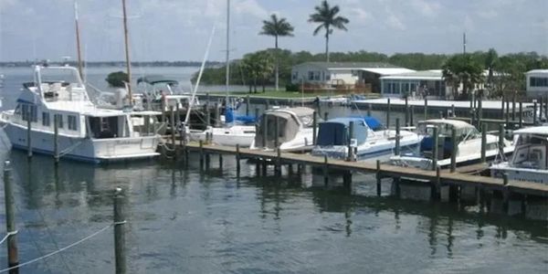 Sailboats and motor yachts moored along a wooden dock at a waterfront marina with palm trees and low buildings on the shore.
