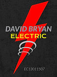 David Bryan Electric logo