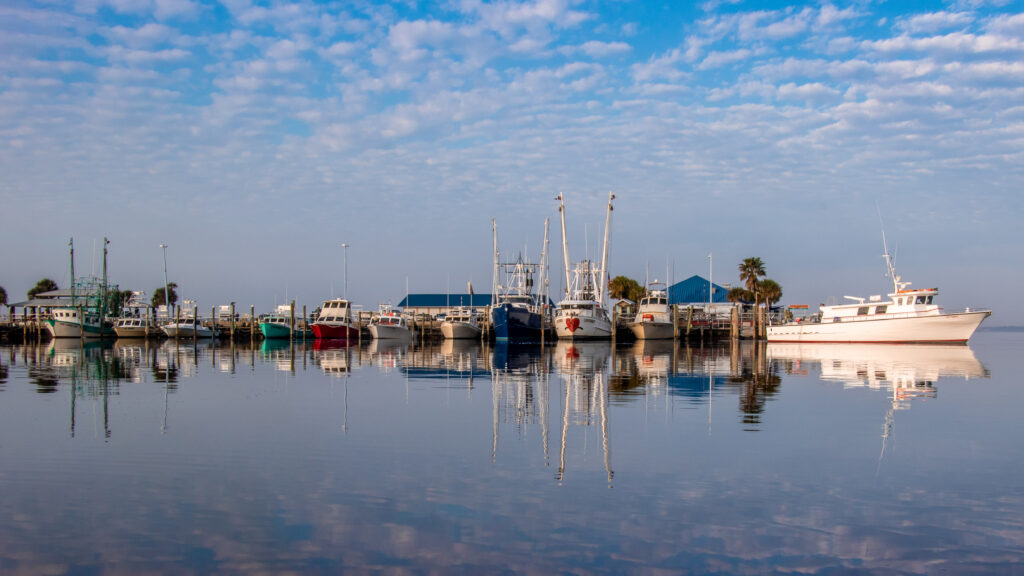 Fishing boats and a white charter vessel moored at a waterfront dock under a soft morning sky, with clear reflections on the calm water.