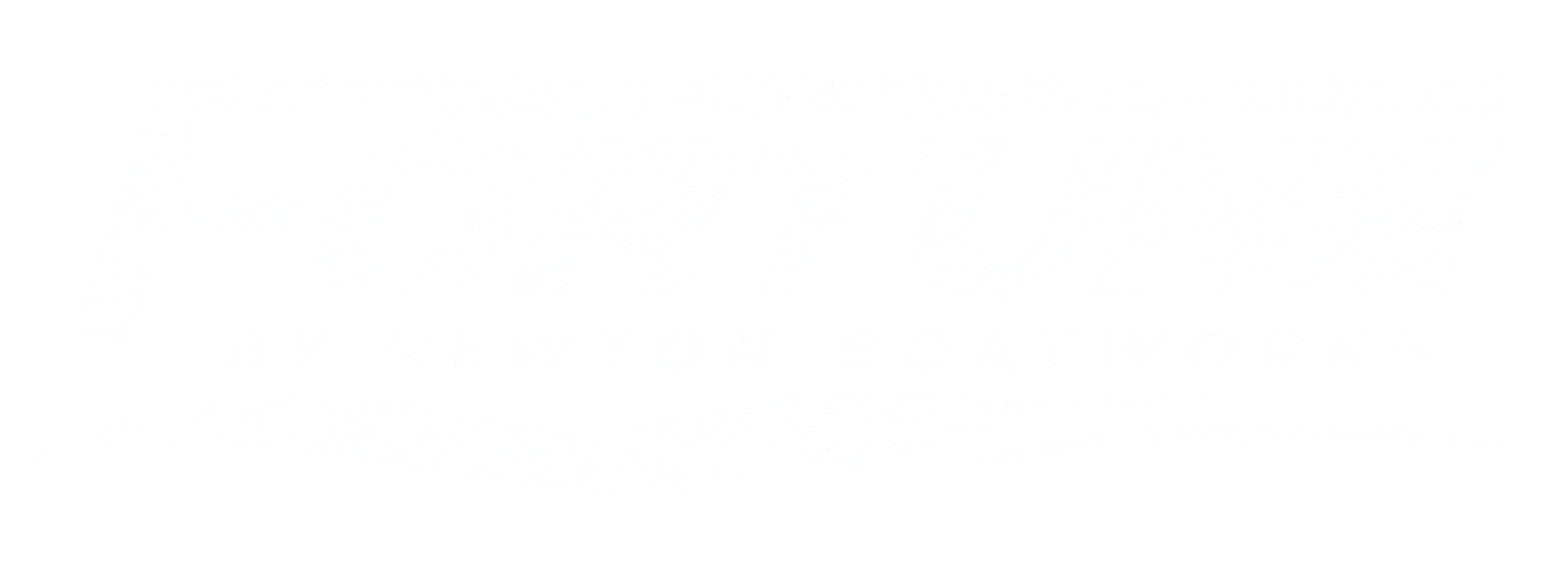 Fortune by Newton Boats project photo