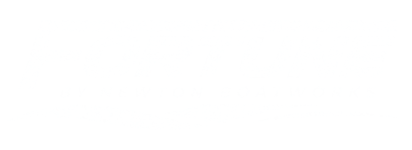 Fortune by Newton Boats project photo