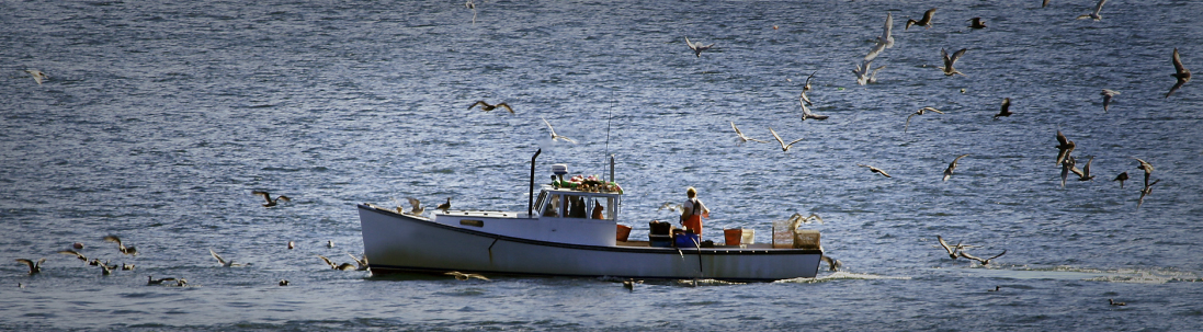 New England Marine & Industrial, Inc. project photo