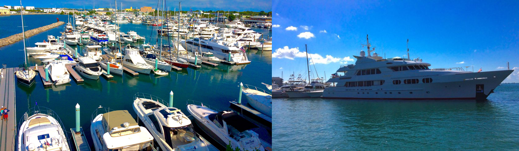 Rows of motor yachts and sailboats docked at a marina alongside a large white motor yacht on open water.