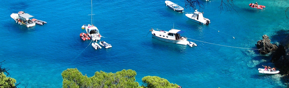 Aerial view of motorboats, a sailboat and inflatable tenders anchored in a clear turquoise cove with pine trees along the shore.