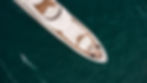 Aerial view of a white boat on dark green water, with no business or town identifiable.