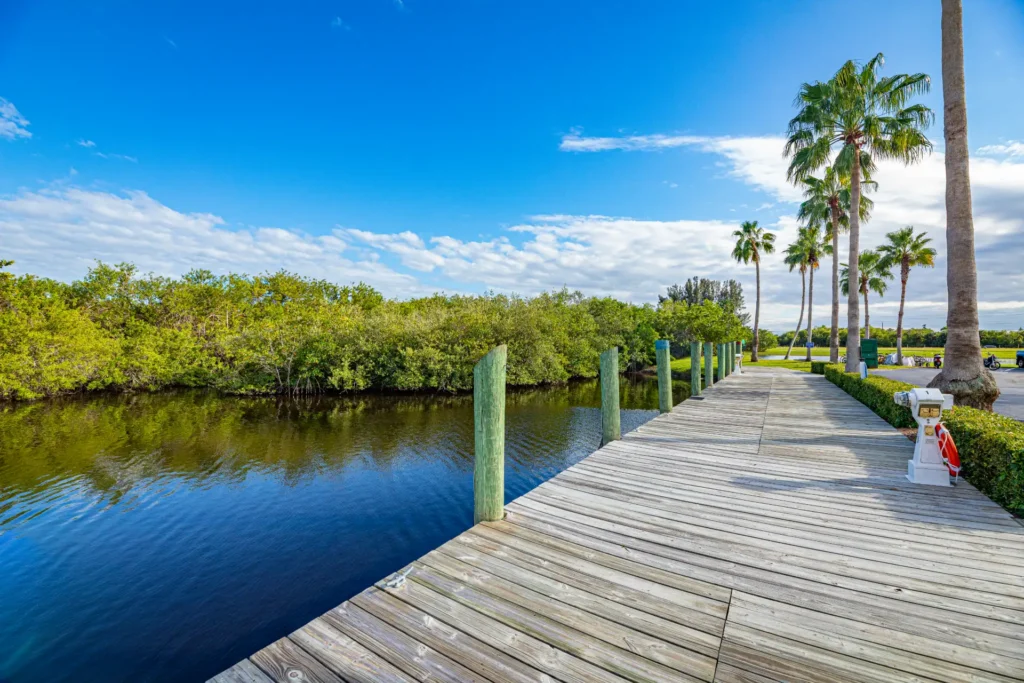 Wooden boardwalk dock beside a mangrove-lined canal and palm trees, with a coin-operated viewing scope at the water's edge.