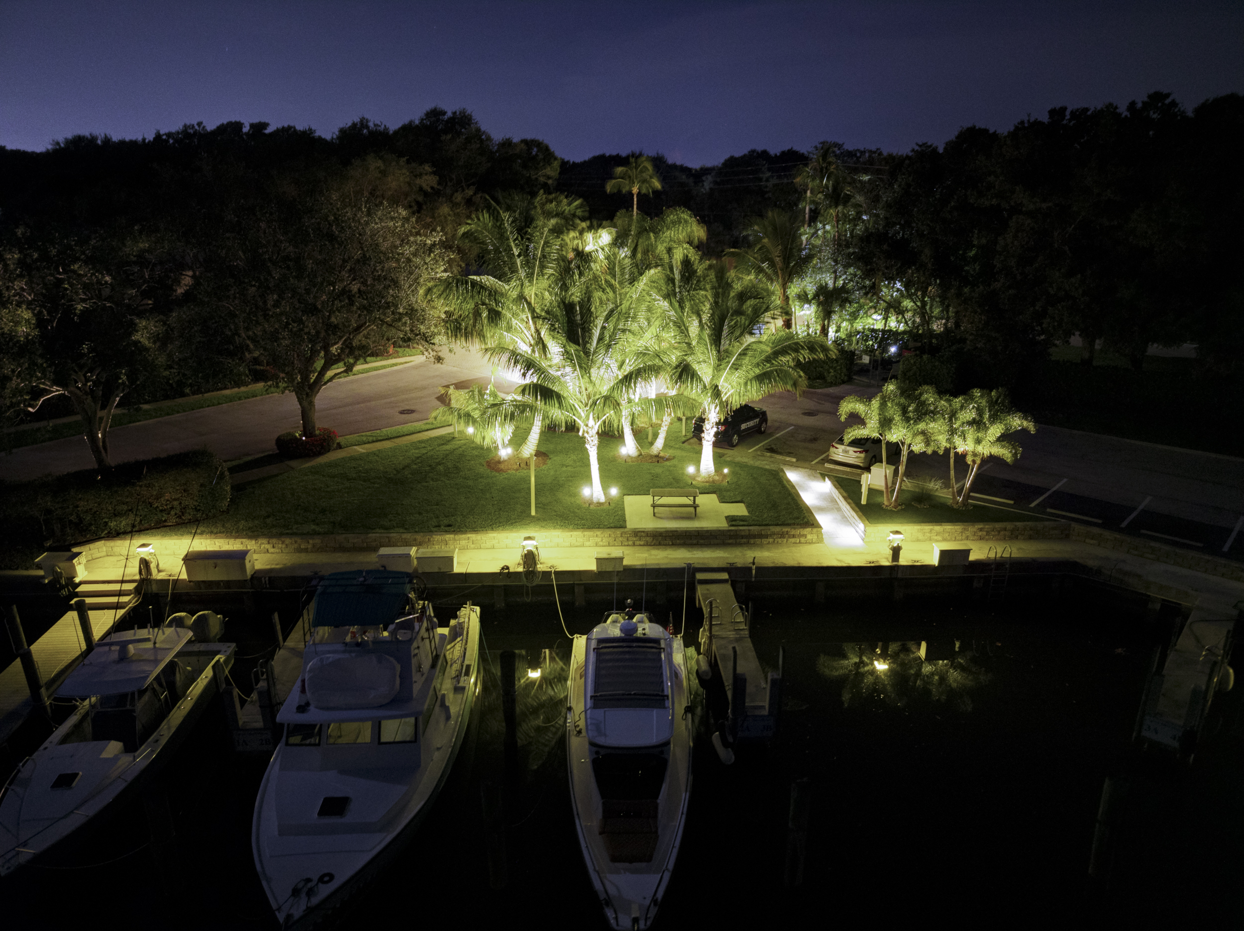 Sport fishing boats docked at a night-lit marina with illuminated palm trees and a grassy common area above the slips.