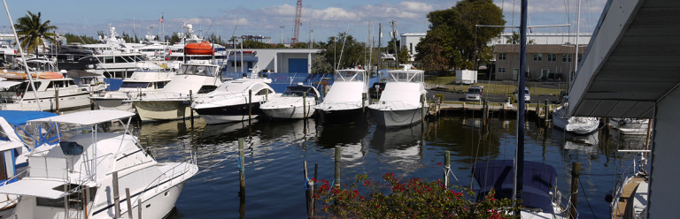 Motor yachts and sport fishing boats moored in a marina basin with wooden pilings and waterfront buildings beyond.